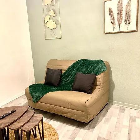 Apartment Climatise Centre Historique